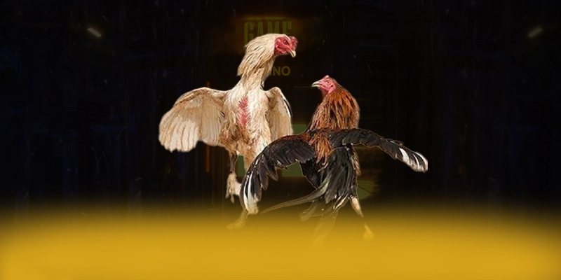 CONGA6789 - Sảnh game với chính sách bảo mật hàng đầu tại Việt Nam – Tìm hiểu CONGA6789