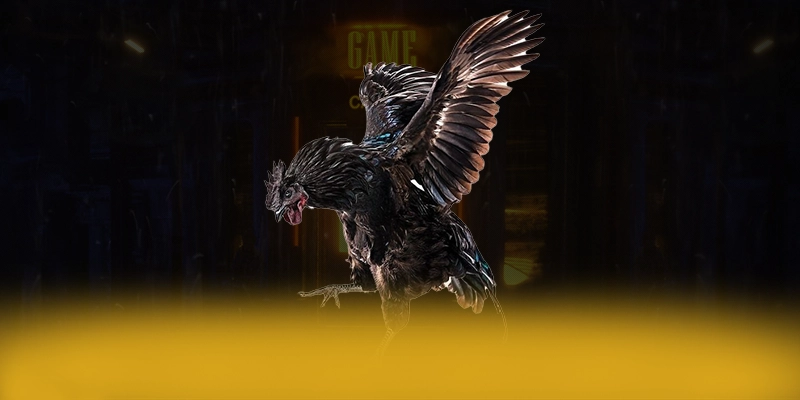 GA6789 - Thương hiệu uy tín được quan tâm hàng đầu GA6789 - Thương hiệu uy tín được quan tâm hàng đầu