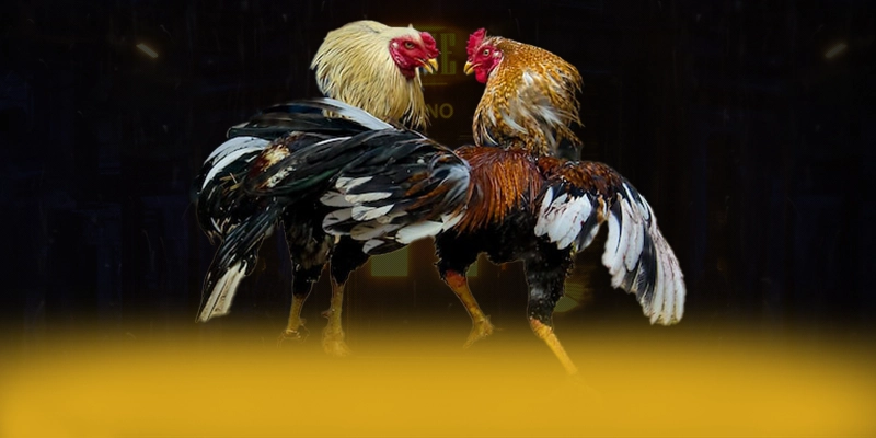 KUWIN - Tổng quan về hệ thống một cách tổng quan. KUWIN - Tổng quan về hệ thống một cách tổng quan.