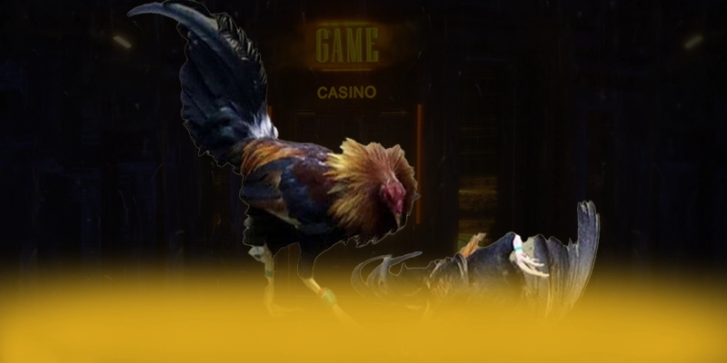 789WIN - Trang game giá trị nhất hiện nay – Khám phá phần thưởng khủng từ 789WIN 789WIN - Trang game giá trị nhất hiện nay – Khám phá phần thưởng khủng từ 789WIN