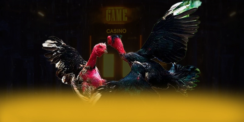 789WIN - Thương hiệu game uy tín có độ an toàn vượt trội trên thị trường – Khám phá ngay 789WIN 789WIN - Thương hiệu game uy tín có độ an toàn vượt trội trên thị trường – Khám phá ngay 789WIN