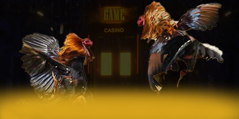 SA88 - Thương hiệu bảo mật cao 2025 – Cập nhật thông tin về SA88