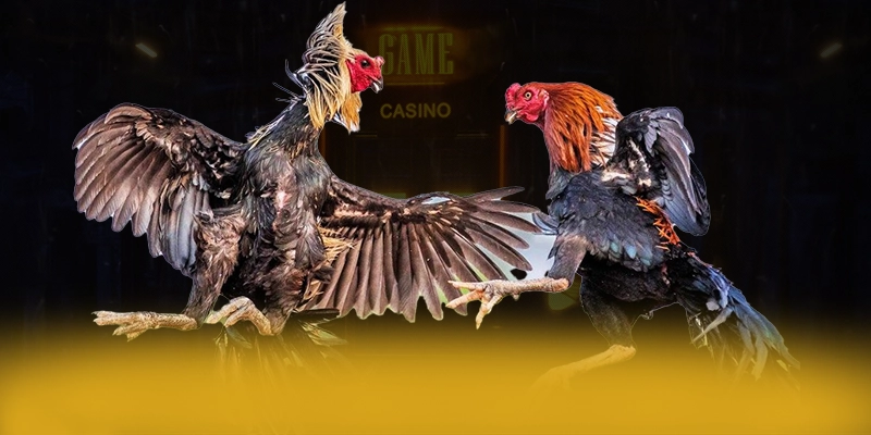 KUWIN - Cổng game đẳng cấp tại Việt Nam KUWIN - Cổng game đẳng cấp tại Việt Nam