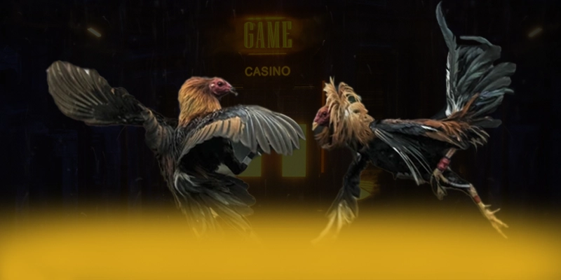 DAGA88 - Trang game chuyên nghiệp trên thị trường DAGA88 - Trang game chuyên nghiệp trên thị trường