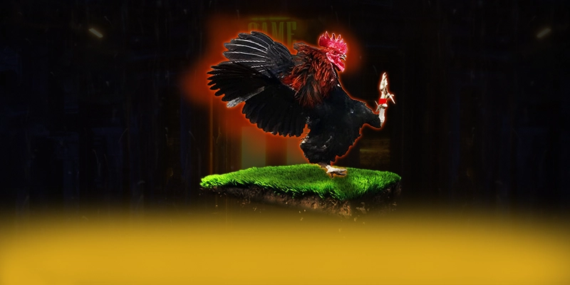 DAGA88 - Thương hiệu game trực tuyến sở hữu kho game phong phú được game thủ lựa chọn – Tổng hợp game hot tại DAGA88