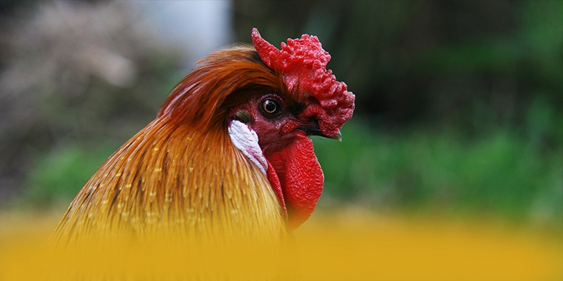 DAGA88 – Cổng game bài đẳng cấp, được cộng đồng game thủ tin tưởng. DAGA88 – Cổng game bài đẳng cấp, được cộng đồng game thủ tin tưởng.