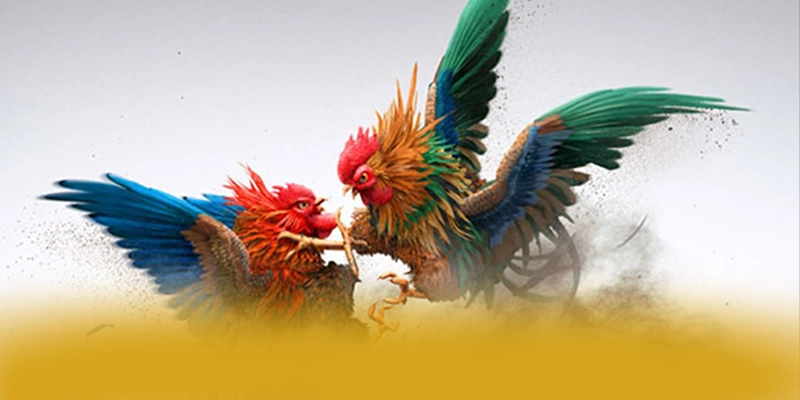 tỷ lệ kèo bóng đá - Tổng quan về hệ thống một cách toàn diện. tỷ lệ kèo bóng đá - Tổng quan về hệ thống một cách toàn diện.