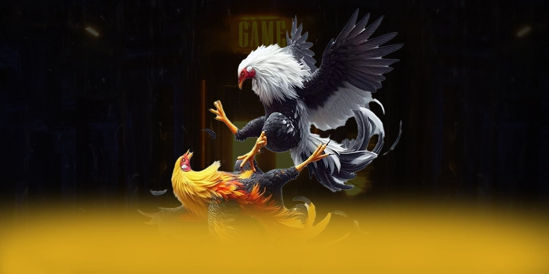 CONGA6789 - Ứng dụng giải trí mang đến trải nghiệm giải trí đỉnh cao được yêu thích nhất – Điểm qua CONGA6789 CONGA6789 - Ứng dụng giải trí mang đến trải nghiệm giải trí đỉnh cao được yêu thích nhất – Điểm qua CONGA6789