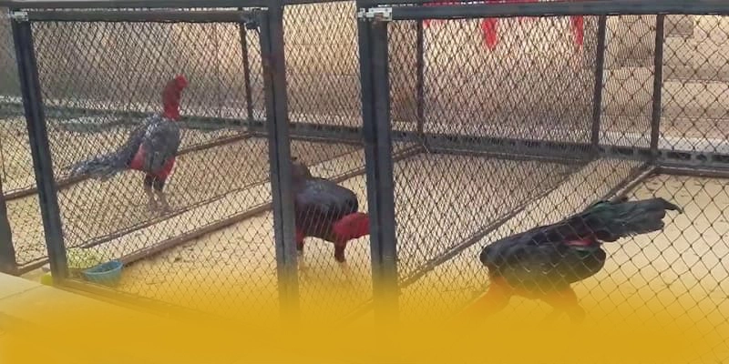 Khám phá ngay GO8 - Sân chơi có thưởng lớn mới nhất hiện nay
Khám phá ngay GO8 - Sân chơi có thưởng lớn mới nhất hiện nay