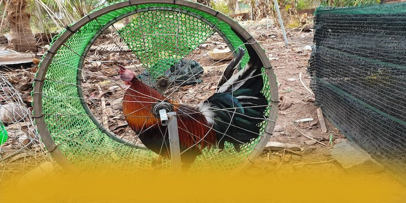 789WIN - Cổng giải trí tốc độ cao hiện nay 789WIN - Cổng giải trí tốc độ cao hiện nay